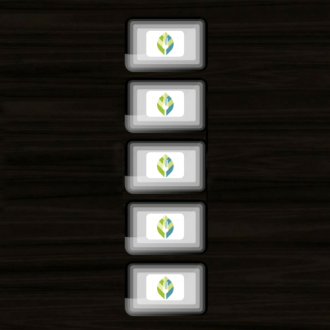 5 Meal Package