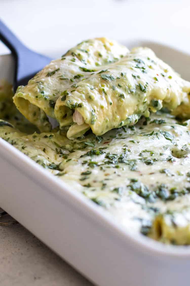 Poblano Chicken Enchilada